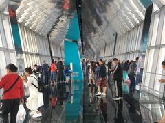 -上海环球金融中心云端足球盛典