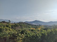 -世界恐龙谷景区