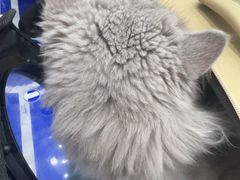 -宠颐生宠物医院·综合诊疗(先锋分院)