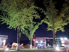 -同济大学(嘉定校区)