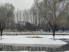 -武昌江滩