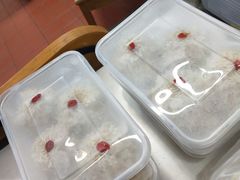 -217笋干馄饨