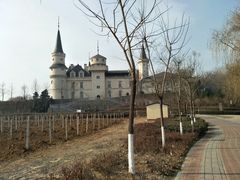 -北京张裕爱斐堡酒庄