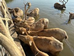 -宁波杭州湾国家湿地公园