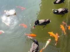 -安吉涵田度假村·水榭居中餐厅