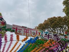 -上海都市菜园