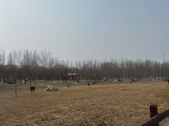 -西青郊野公园