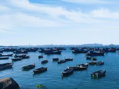 -羊亭河湿地公园