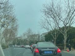 -上海崇明金茂凯悦酒店