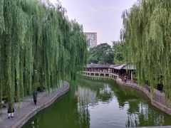 -团结湖公园