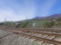 -白水寺森林公园