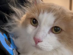 -伊隆斋(什刹海店)