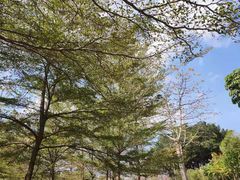 -广州莲花山旅游区