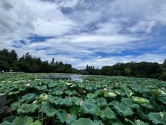 -印象西湖·最忆是杭州实景演出
