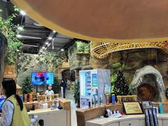 -深圳龙华星河COCO City(民治店)