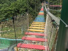 -长沙黑麋峰国家森林公园