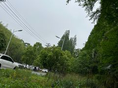 -东明山森林公园