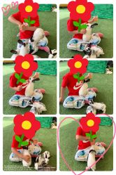 -萌宠亲子动物乐园(槐房万达店)