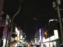 -宝健路步行街(Pedestrian Shopping Street)