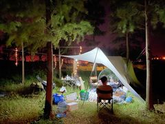 -春花秋色城市公园