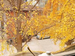 -腾爱熊猫咖啡生活馆(老东门店)