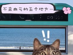 -巧克力渔家.小船海鲜家常菜(万平口店)