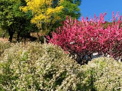 -北京西山国家森林公园