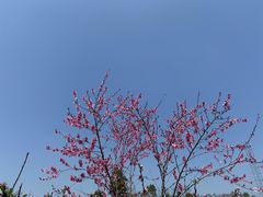 -常德桃花源景区