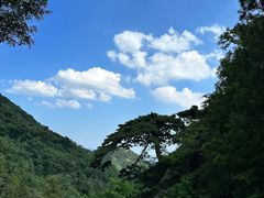 -泰山风景名胜区