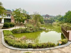 -张坝桂圆林公园