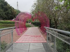 -佛山华盖山公园