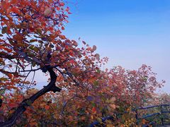 -香山公园