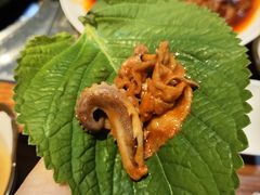 -红辣椒八爪鱼特色韩国料理