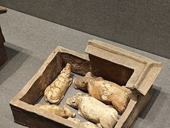 -广西壮族自治区博物馆