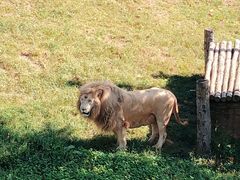 -西霞口神雕山野生动物世界