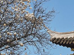 -龙华寺