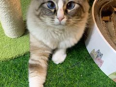 -白兔子密室(长寿路店)