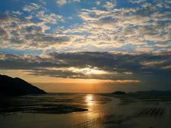 -北岐滩涂