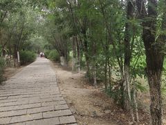 -西青郊野公园