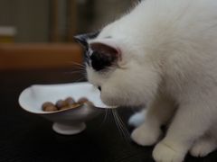 -阿男野栗王(金门路店)