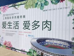-源深体育中心-停车场