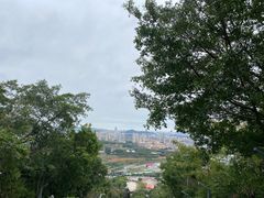 -青礁慈济宫