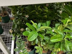 -山姆会员商店(西溪店)