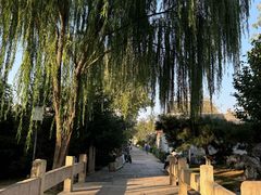 -春风习习