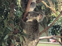 -费瑟代尔野生动物园