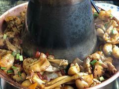 -北龙碳锅牛蛙(尚泽大都会店)