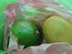 -越南街(万众国际批发市场店)