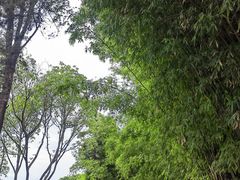 -大理洱海