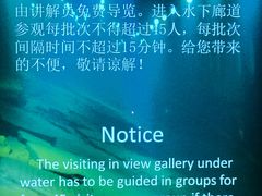 -白鹤梁水下博物馆