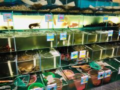 海鲜池-琼大师东方烤乳猪(亚特兰蒂斯店)